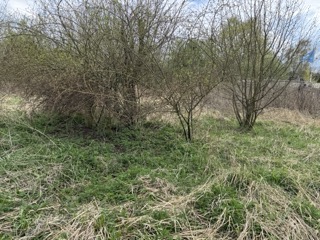 Garten Grundst�ck Neustadt-Glewe