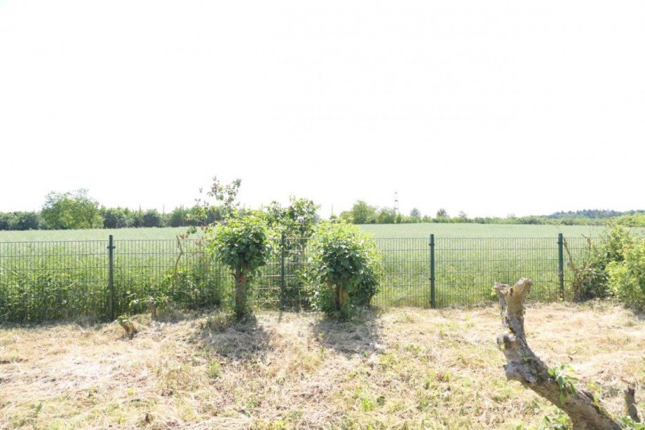 Aussicht auf Feld Einfamilienhaus Fuhlenhagen