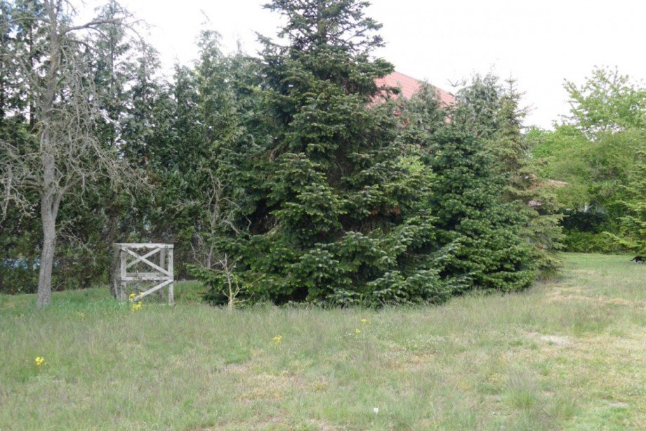 Grundst�ck Einfamilienhaus Warlow