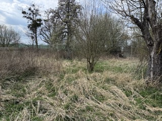 Garten Grundst�ck Neustadt-Glewe