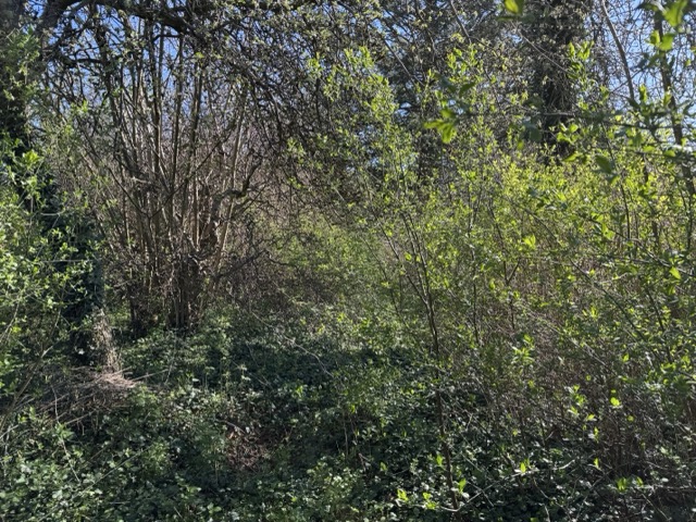 Garten Grundst�ck Grabow