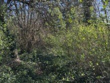 Garten Idyllisches Waldrand-Grundst�ck in Grabow � 948 m� mit Entwicklungspotenzial & Bestand