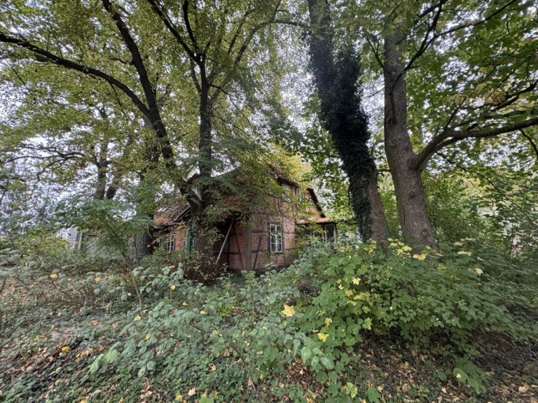 Haus im Gru L�btheen Haus Charmantes Fachwerkhaus im Gr�nen