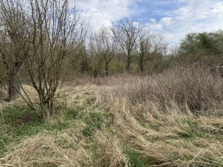 Garten Grundst�ck Neustadt-Glewe