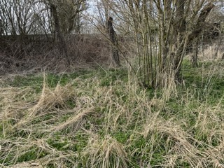 Garten Grundst�ck Neustadt-Glewe