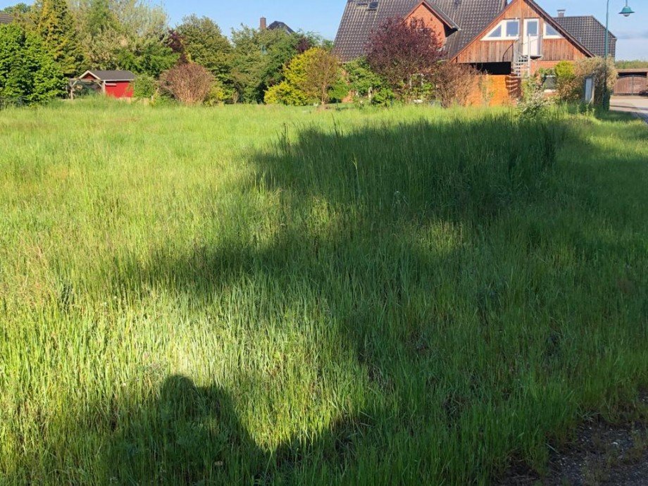 PHOTO 2021 05 28 07 26 23 5 Grundst�ck Gro� Laasch