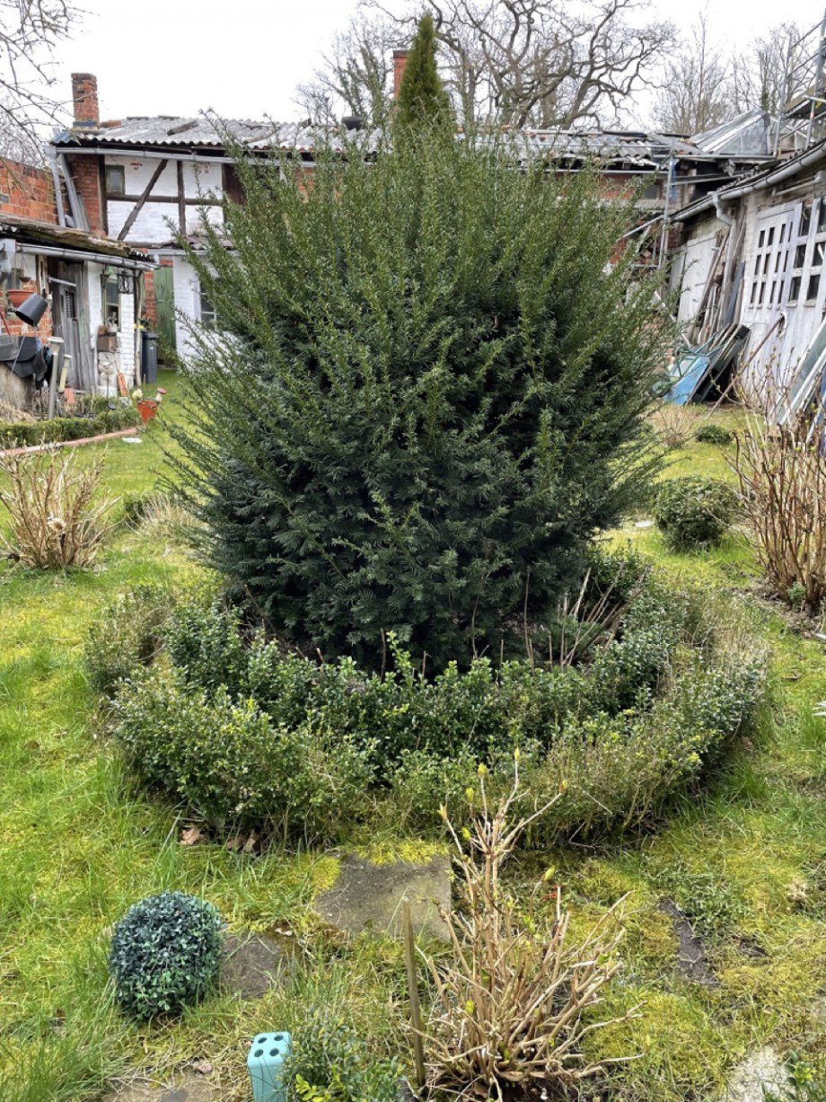 Grundst�ck Mehrfamilienhaus Grabow