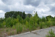 Bauland Baugrundst�ck in Ludwigslust, geeignet f�r Bautr�ger und Investoren