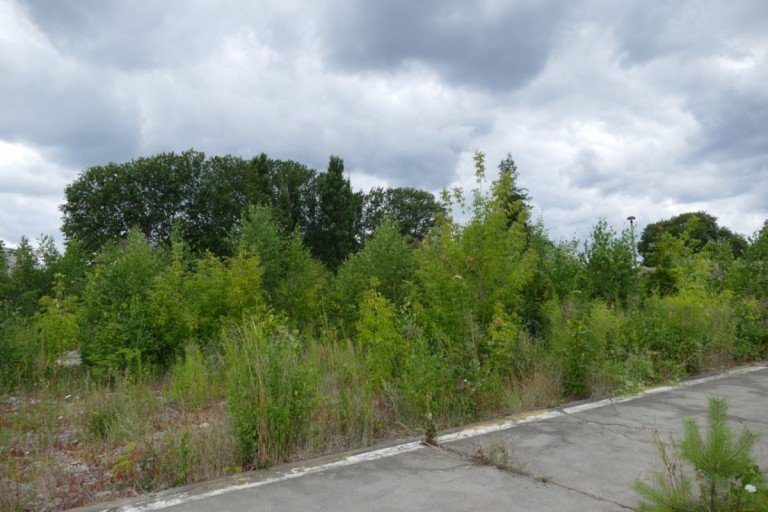 Bauland Ludwigslust Grundst�ck Baugrundst�ck in Ludwigslust, geeignet f�r Bautr�ger und Investoren