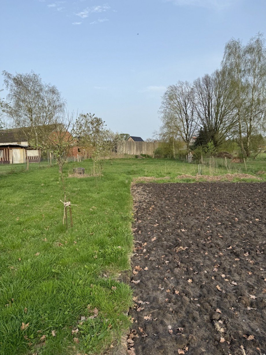 Garten Einfamilienhaus Tewswoos