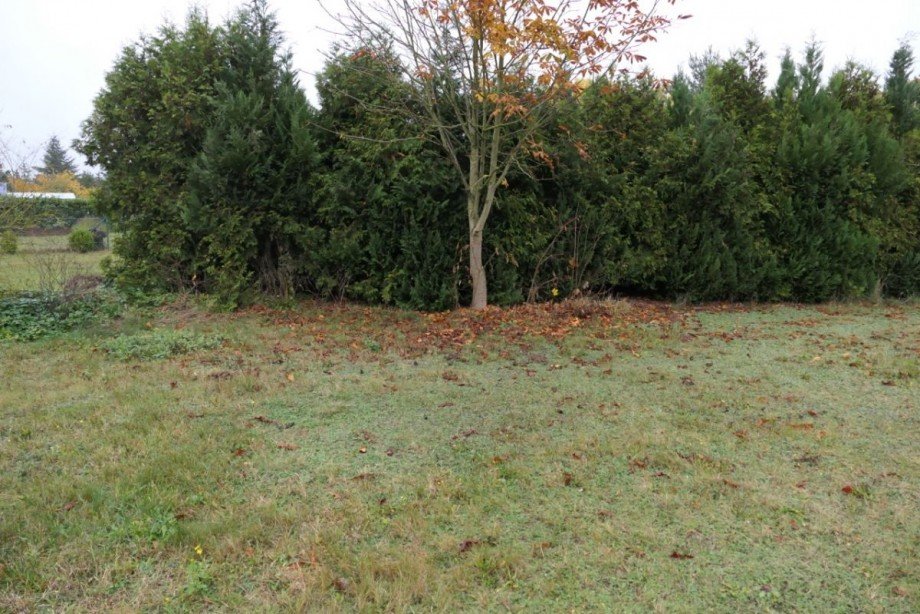 Grundsturenze Wohngrundst�ck Stolpe