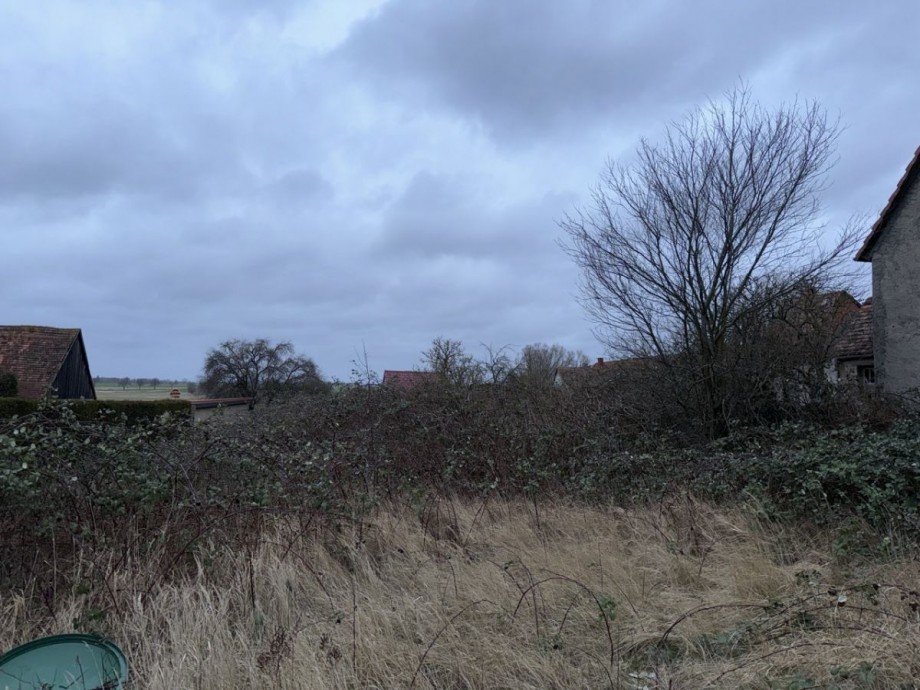 Grundst�ck Wohngrundst�ck Tribsees