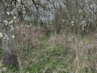 Garten Grundst�ck Neustadt-Glewe