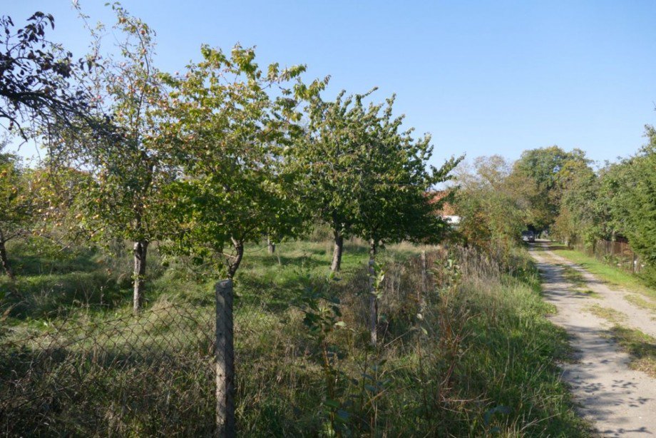 Grundst�ck Einfamilienhaus Kummer