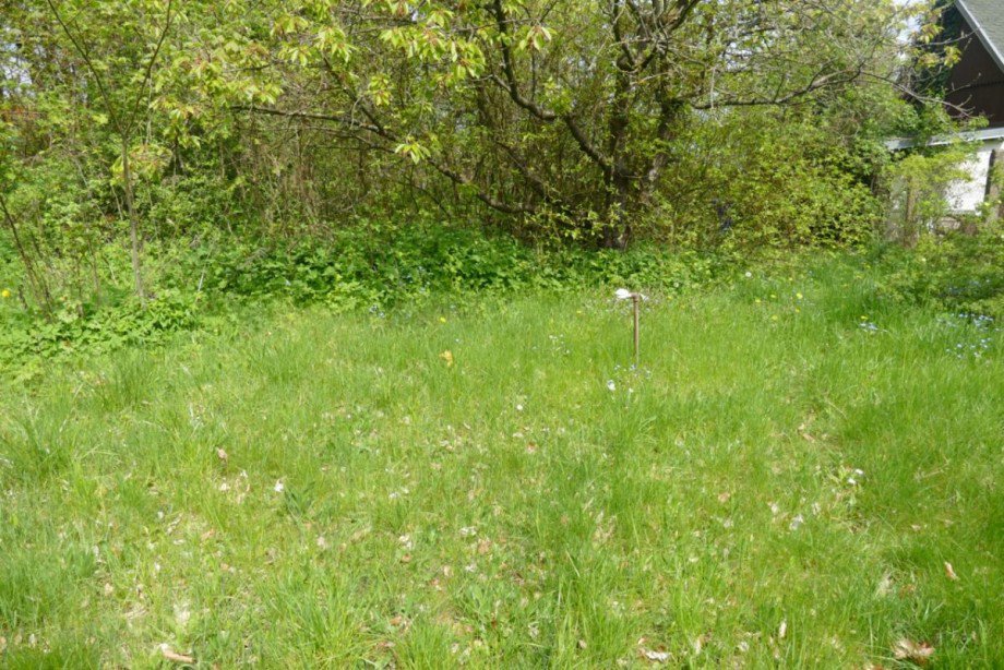 Grundst�ck Freizeitgrundst�ck Waren