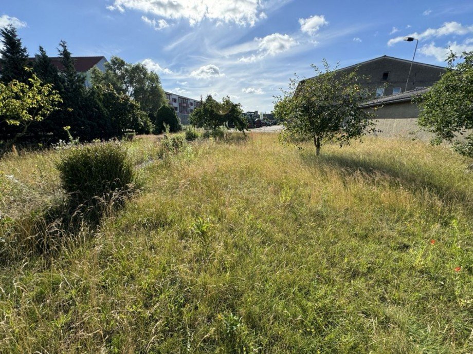 Garten Einfamilienhaus Grabow