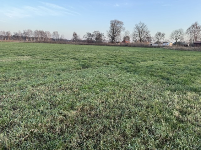 Grud 3, 374 Haus Eldena