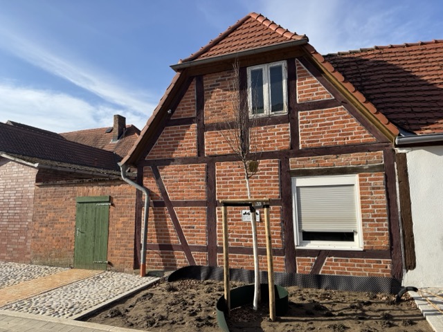 Hausansicht Hinterseite Haus Ludwigslust