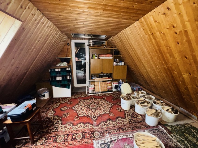 Dachstuhl Haus Ludwigslust