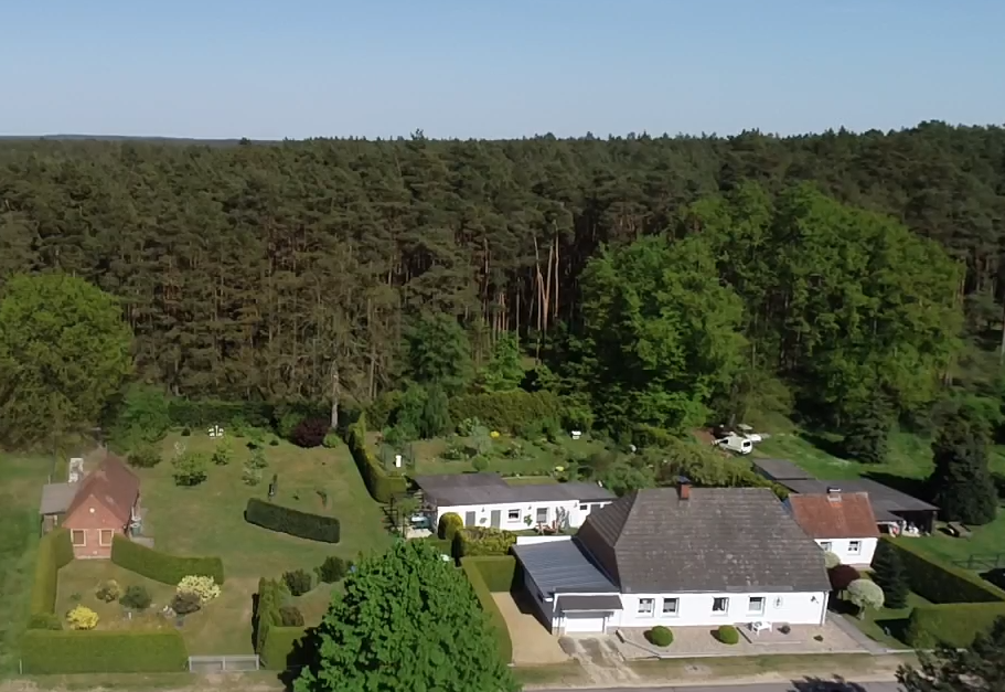 Grundstum Wald Einfamilienhaus Vielank