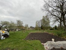 Garten Einfamilienhaus bei Vielank