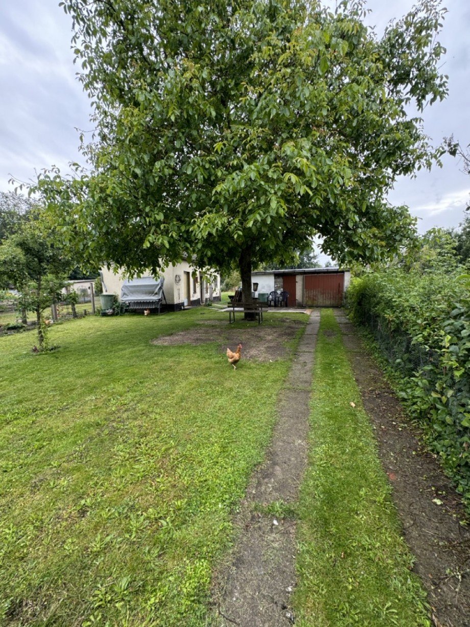Garten Reihenmittelhaus Grabow