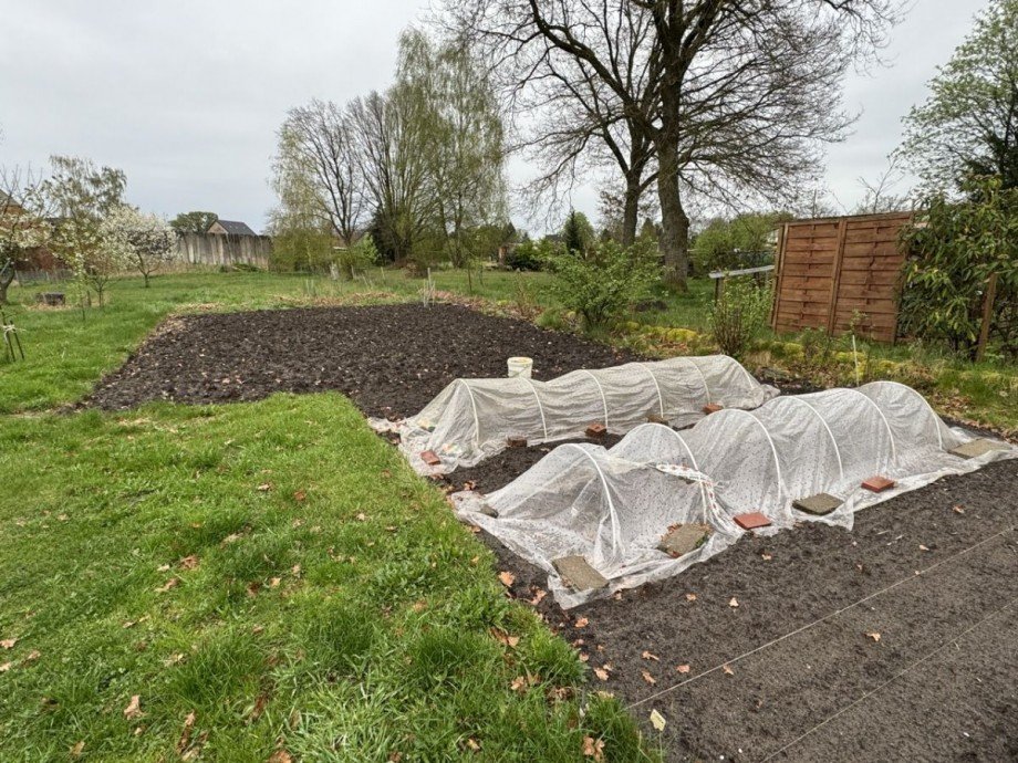 Garten Einfamilienhaus Tewswoos