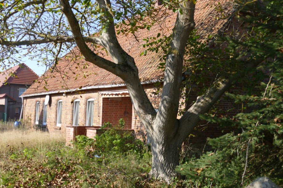 Hausansicht Einfamilienhaus Kummer
