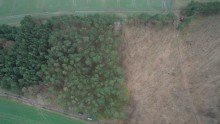 Wald 4,7 Hektar Mischwald bei L�blow / W�bbelin zu verkaufen