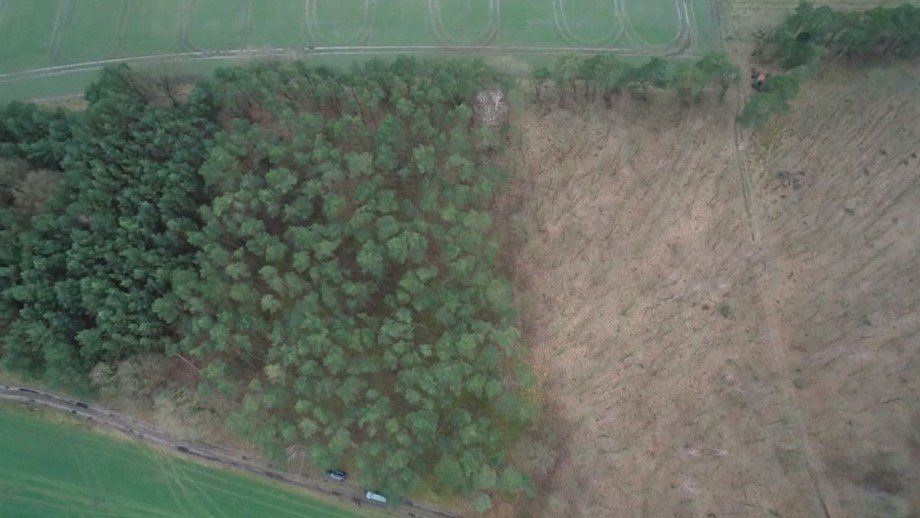 Wald Land- / Forstwirtschaft - Grdst. L�blow