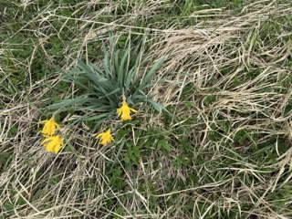 Garten Grundst�ck Neustadt-Glewe