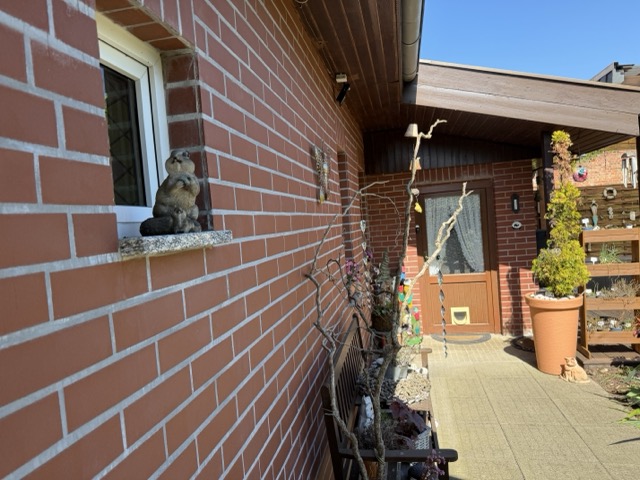Au�enwamit Dag und Riemchen Einfamilienhaus Neu L�blow
