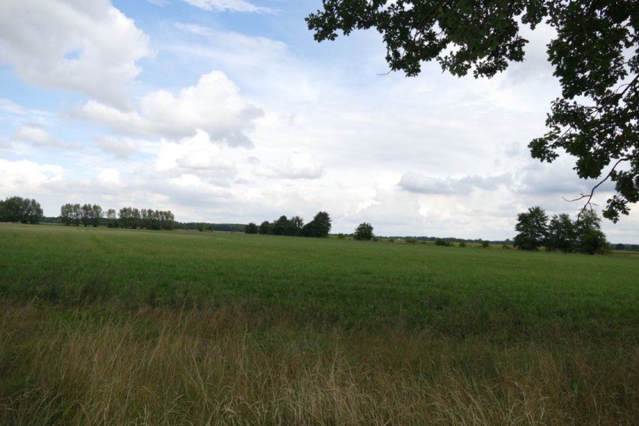 Aussicht auf Feld Einfamilienhaus L�blow