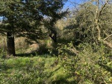 Garten Idyllisches Waldrand-Grundst�ck in Grabow � 948 m� mit Entwicklungspotenzial & Bestand