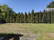 Garten Freistehendes Einfamilienhaus in Ludwigslust (Techentin)