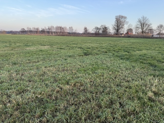 Grud 3, 374 Haus Eldena