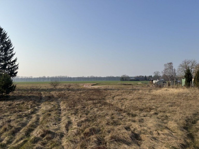 Grundst�ck D�mitz (Ortsteil Heidhof) Wohngrundst�ck 6.800 m� Landidylle: Riesiges Naturgrundst�ck mit ausgewiesenem Bauanteil in Heidhof