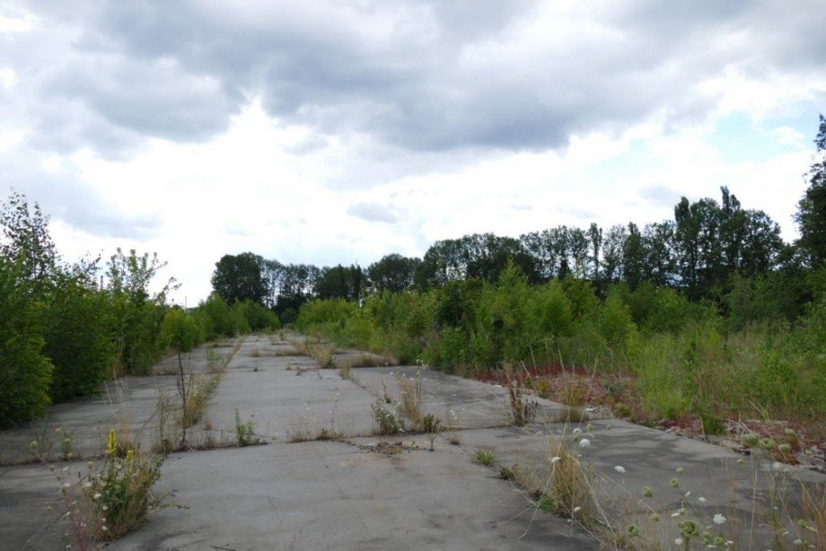 Bauland Grundst�ck Ludwigslust