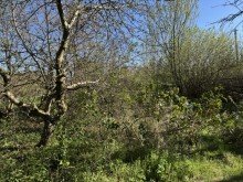Garten Idyllisches Waldrand-Grundst�ck in Grabow � 948 m� mit Entwicklungspotenzial & Bestand